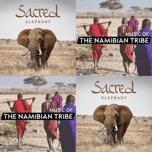 “Sacred Elephant: Namibian Shamanic Prayers”/Outros