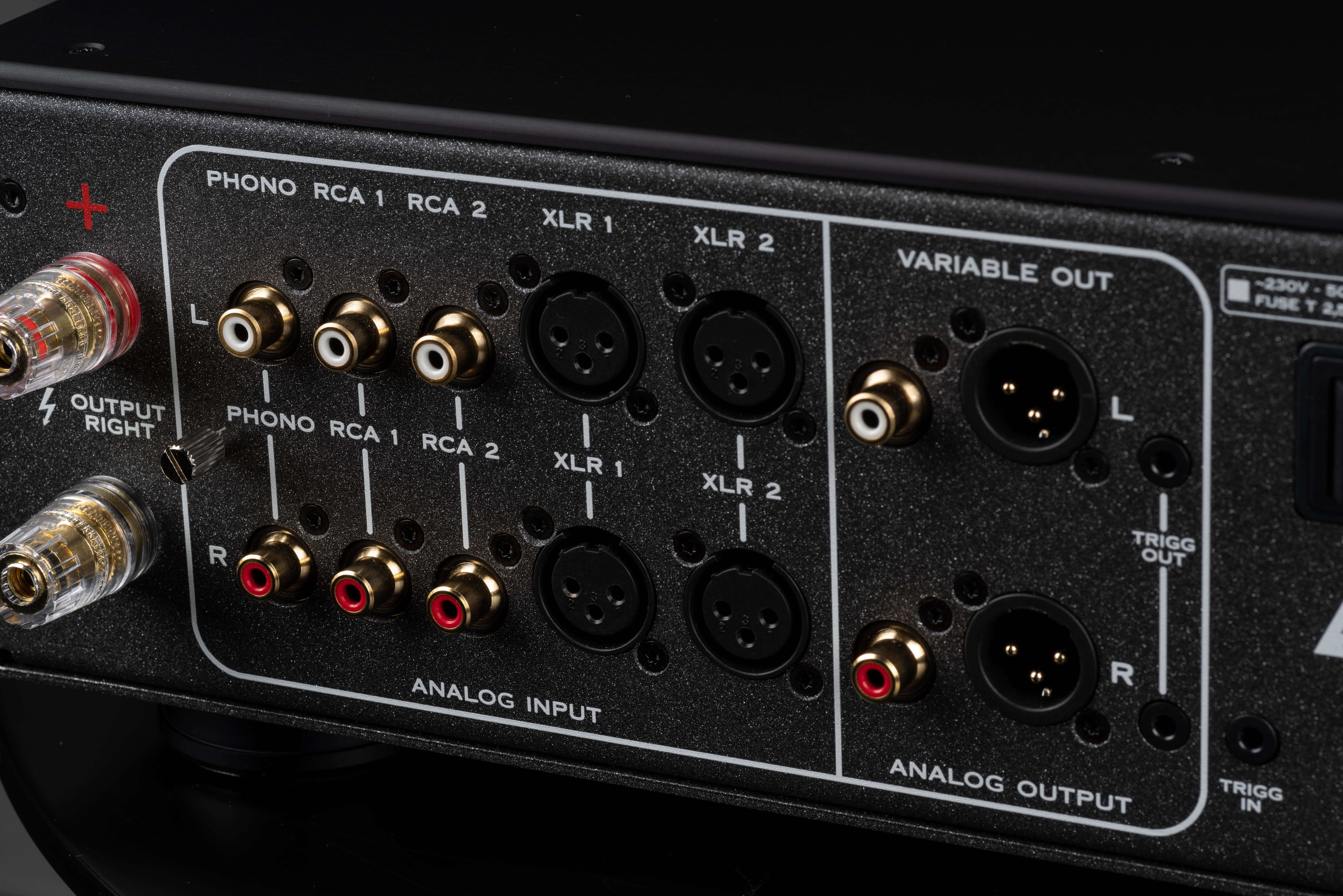 Foto 6 Canor Virtus A3