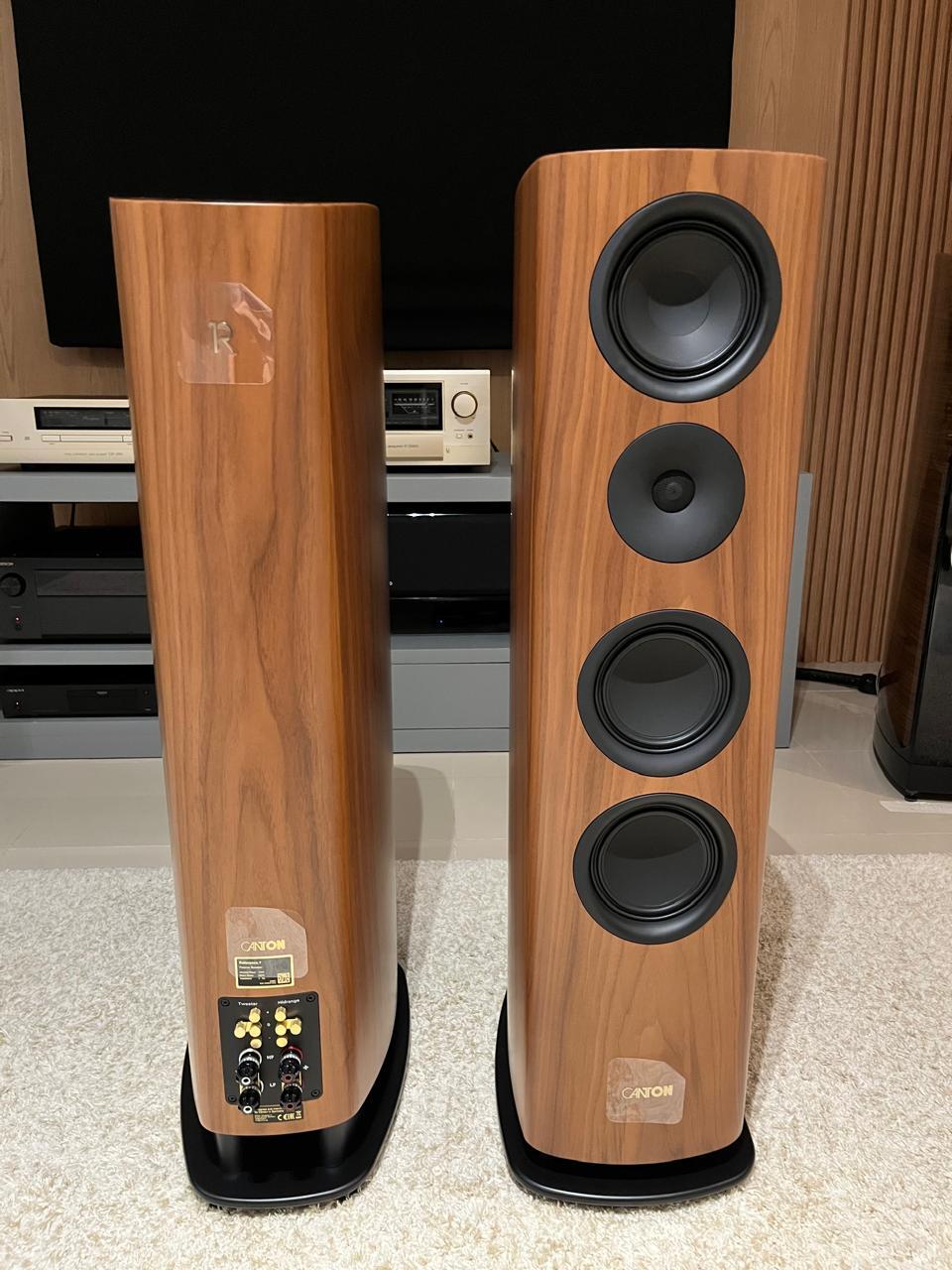 Foto 1 Canton-Reference-7